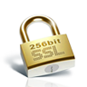 ssl-security